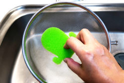 KOKUBO Кухонная губка в форме кактуса, 1 шт/Cactus-Shaped Kitchen Sponge